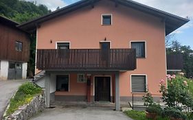 Apartmaji Ursic